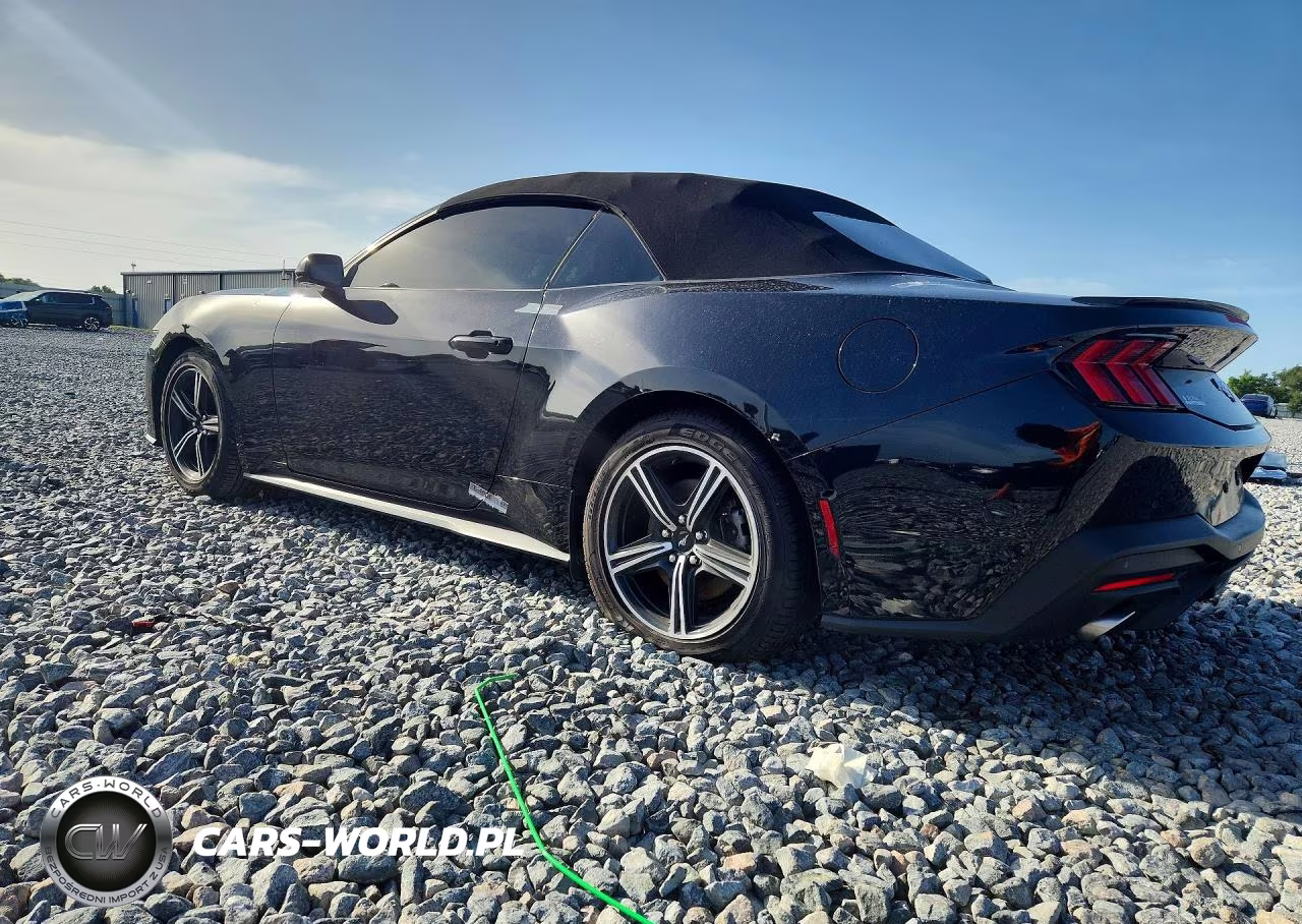 2024 Ford Mustang VIN:1FAGP8UH3R5120048 - 2