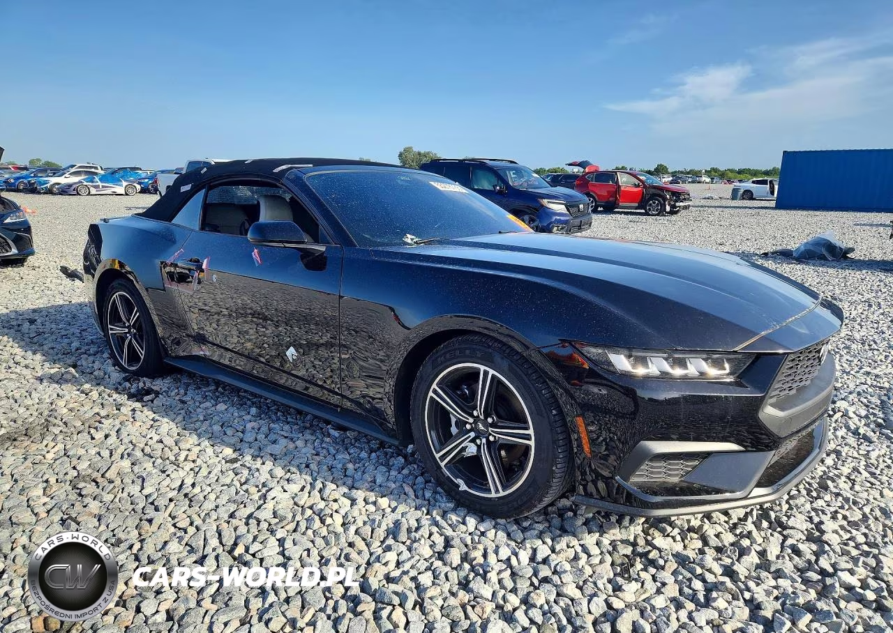 2024 Ford Mustang VIN:1FAGP8UH3R5120048 - 4