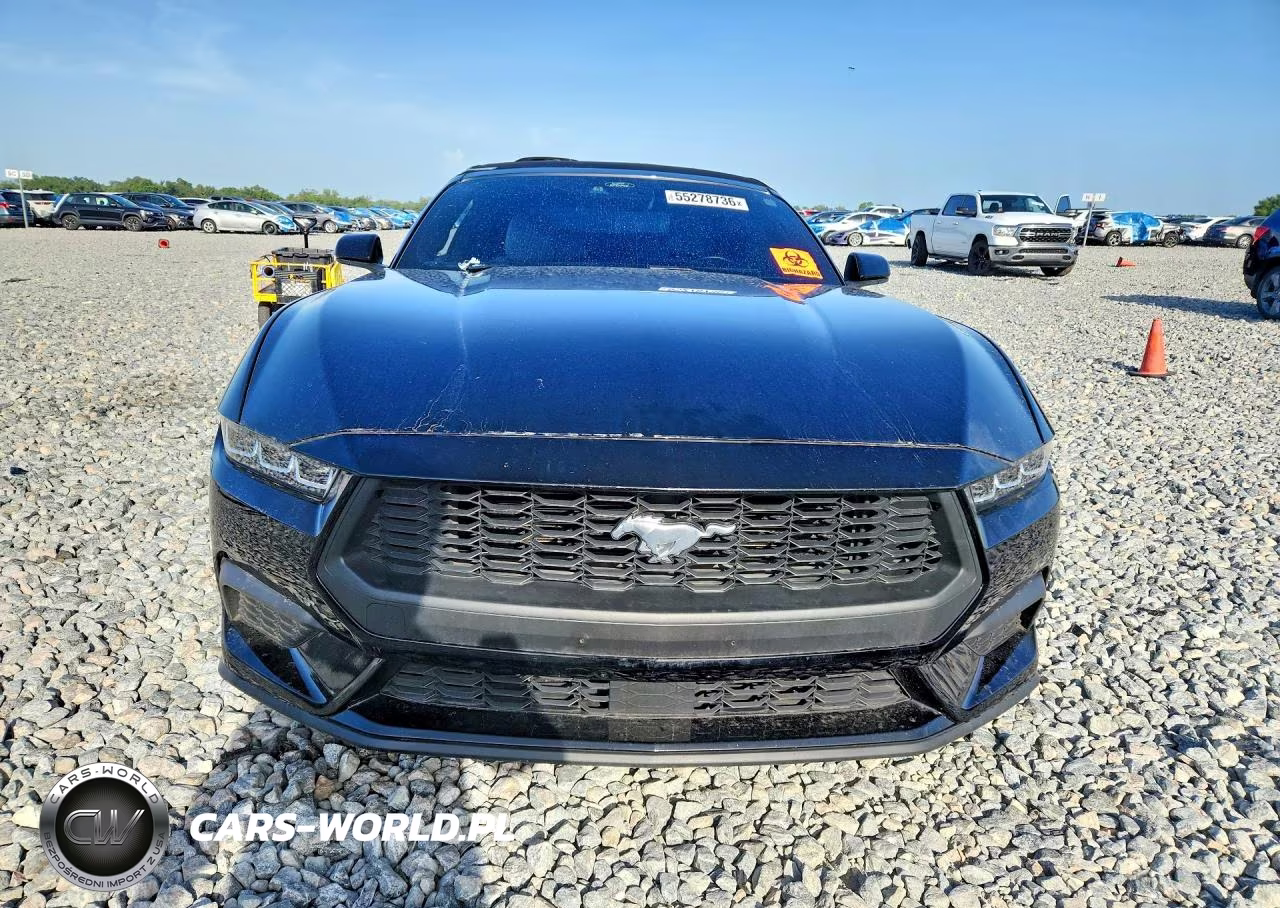 2024 Ford Mustang VIN:1FAGP8UH3R5120048 - 5