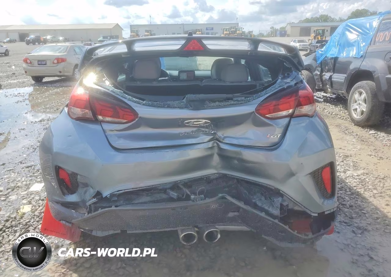 2019 Hyundai Veloster Turbo Ultimate VIN:KMHTH6AB1KU010472 - 6