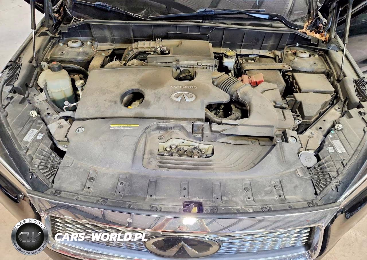 2019 Infiniti Qx50 Essential VIN:3PCAJ5M34KF131245 - 12