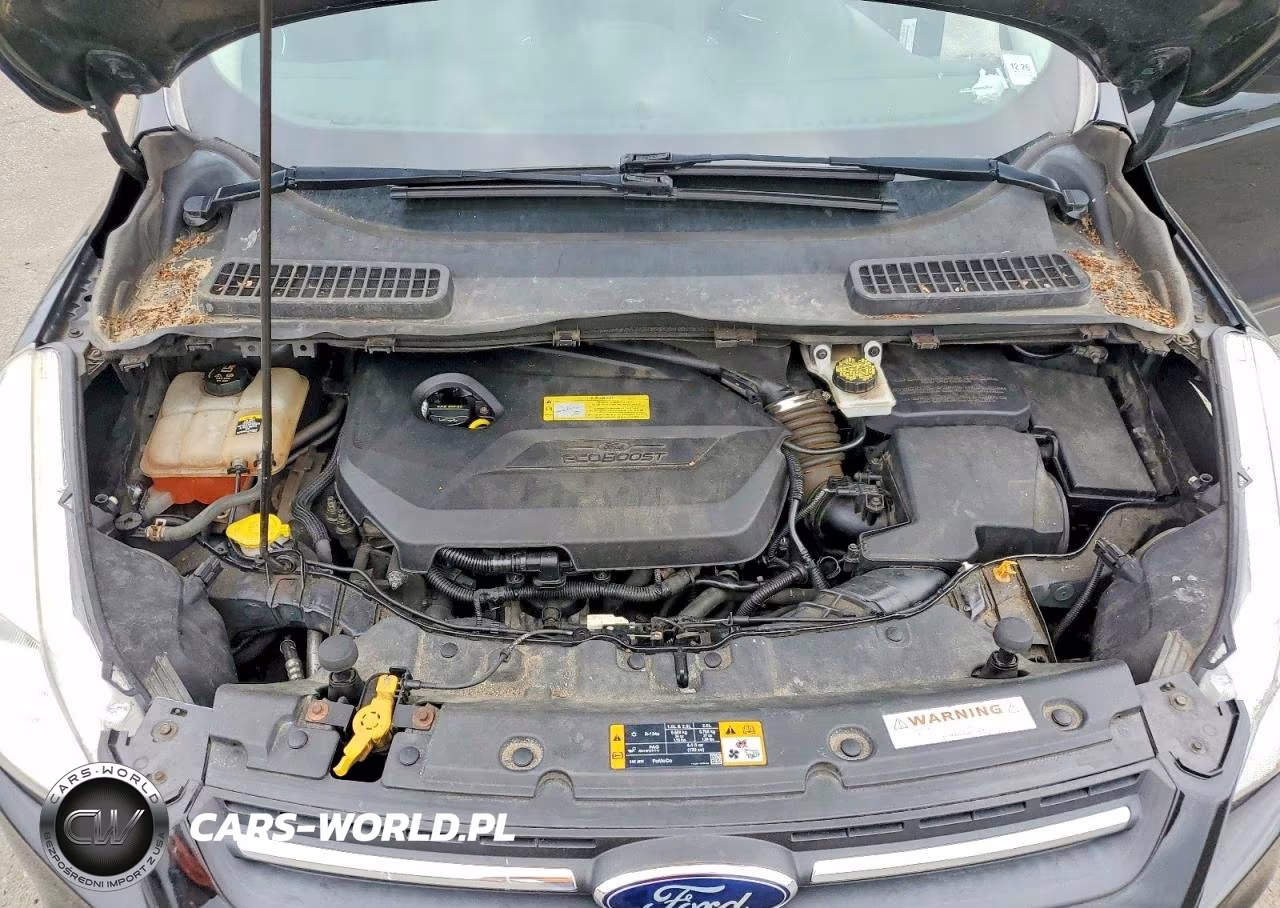 2013 Ford Escape VIN:1FMCU9GX3DUC98305 - 12