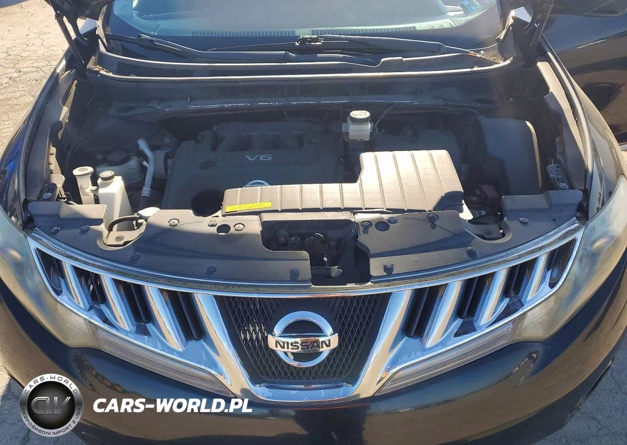 2010 Nissan Murano S VIN:JN8AZ1MW2AW139418 - 12
