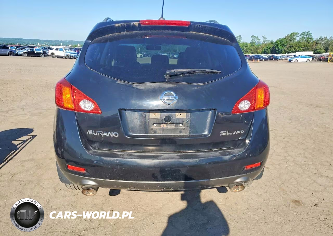 2010 Nissan Murano S VIN:JN8AZ1MW2AW139418 - 6