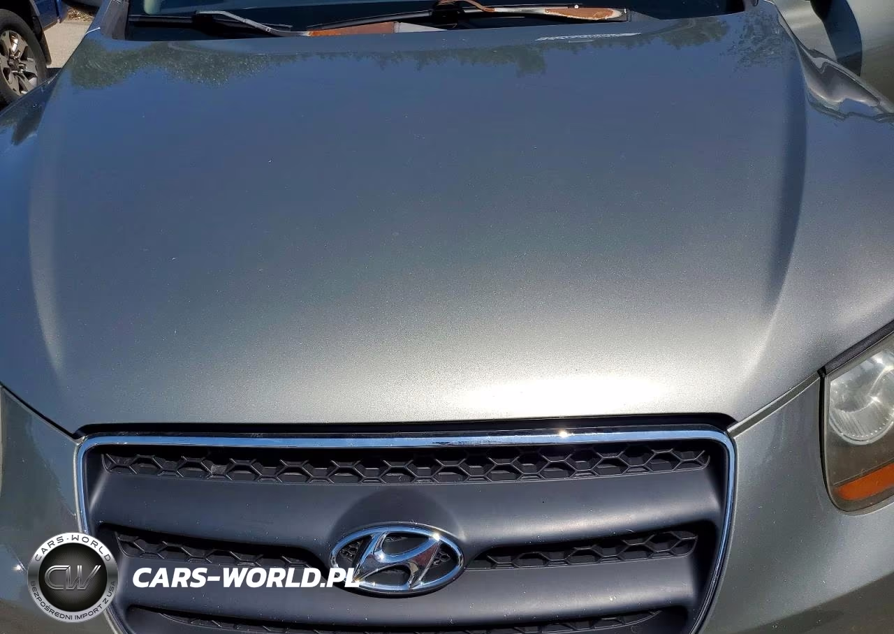 2007 Hyundai Santa Fe Se VIN:5NMSH13E87H029951 - 12