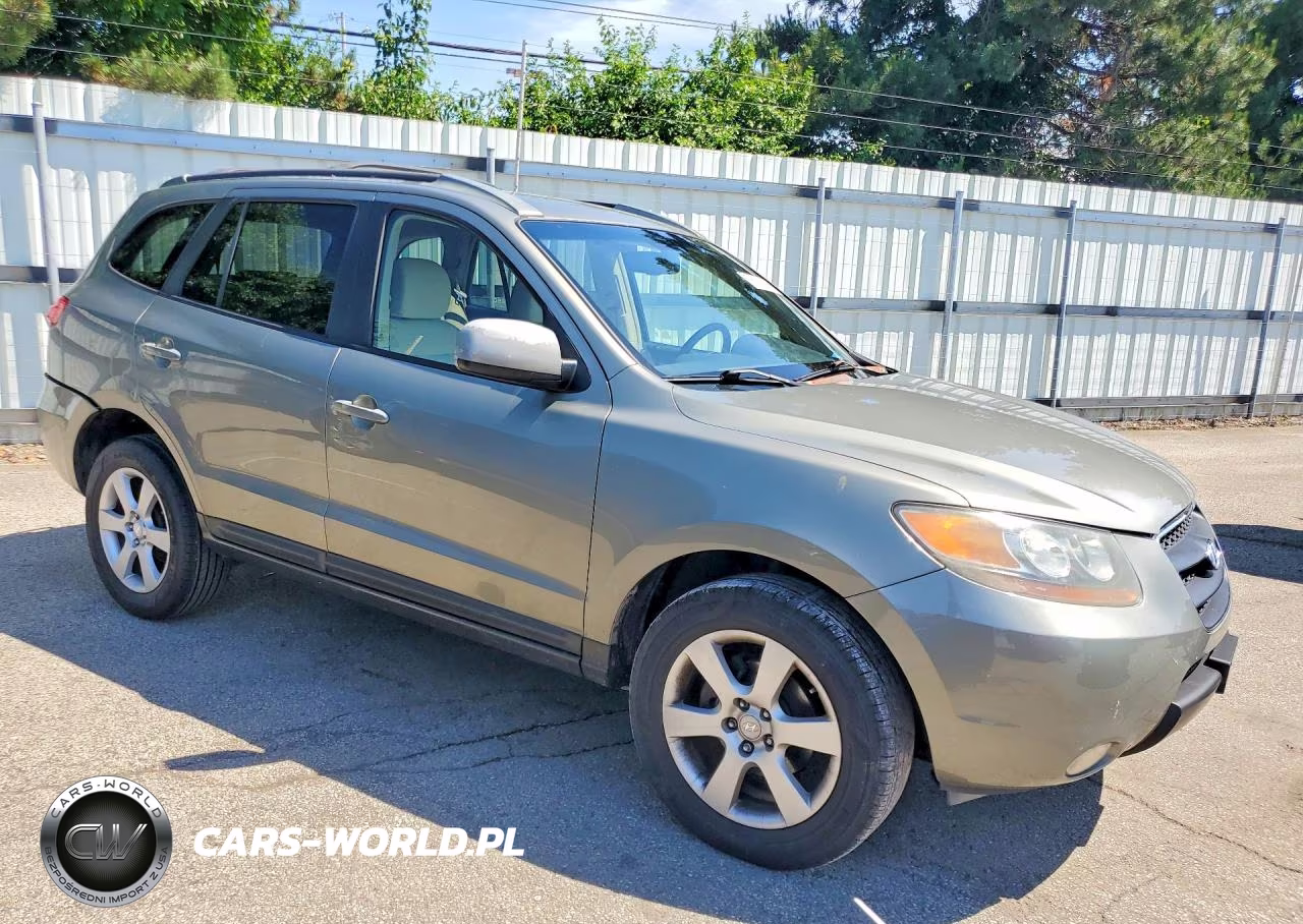 2007 Hyundai Santa Fe Se VIN:5NMSH13E87H029951 - 4