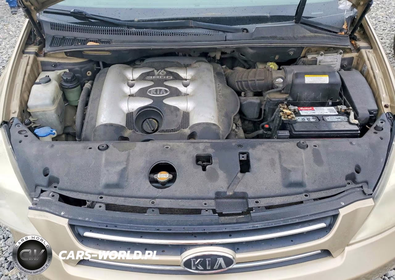 2006 Kia Sedona Lx VIN:KNDMB233X66029640 - 12