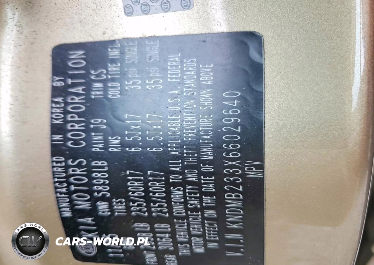 2006 Kia Sedona Lx VIN:KNDMB233X66029640 - 13