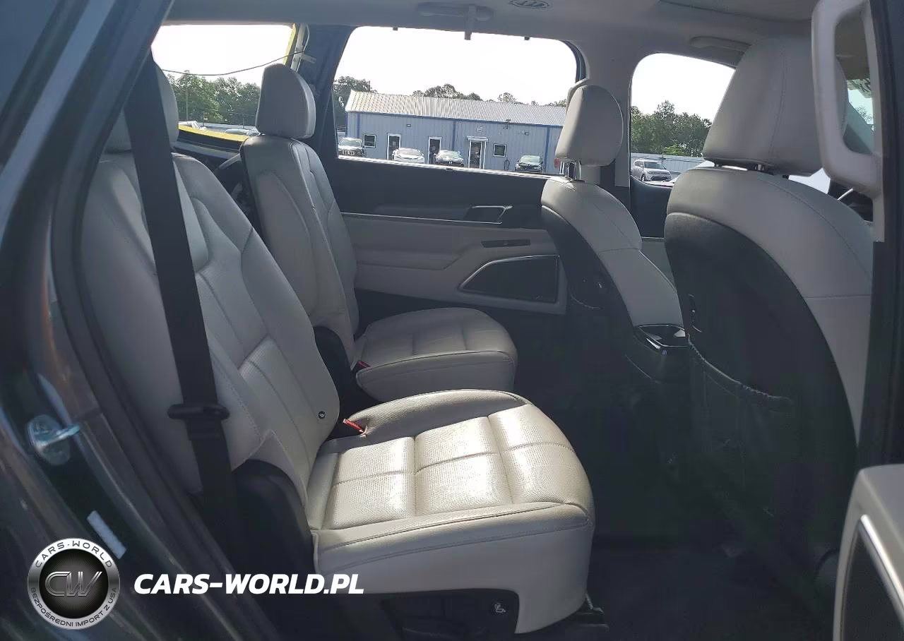 2020 Kia Telluride Sx VIN:5XYP54HC4LG072520 - 11