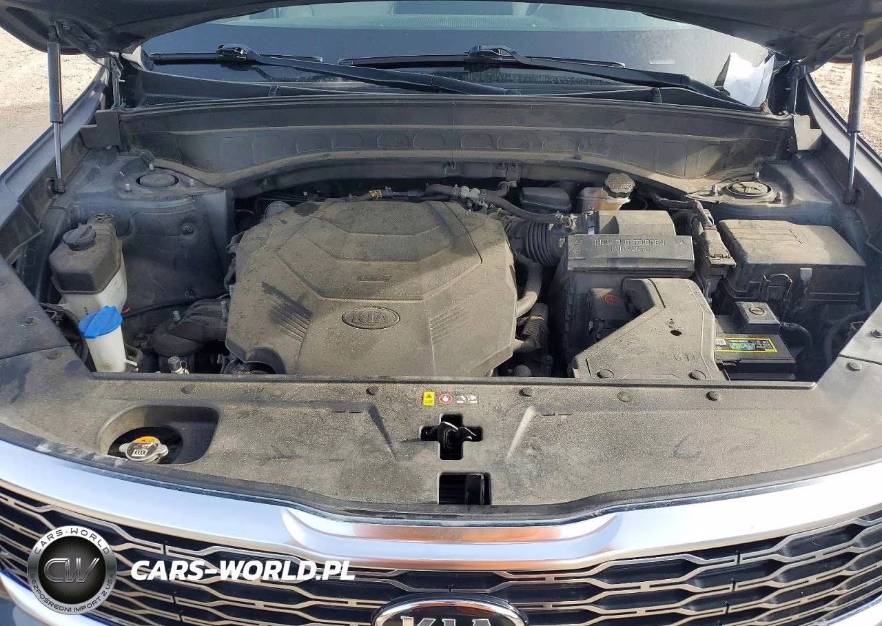 2020 Kia Telluride Sx VIN:5XYP54HC4LG072520 - 12