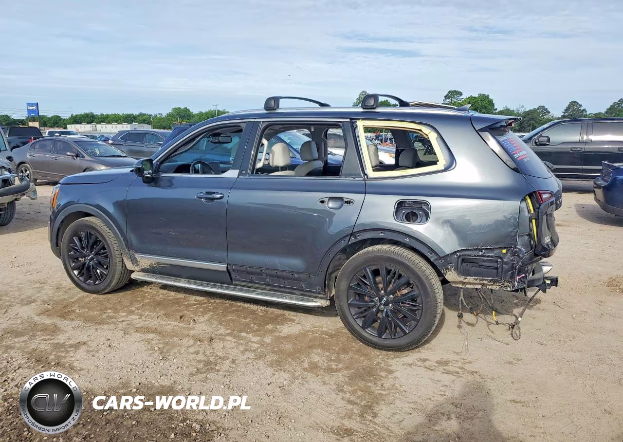 2020 Kia Telluride Sx VIN:5XYP54HC4LG072520 - 2