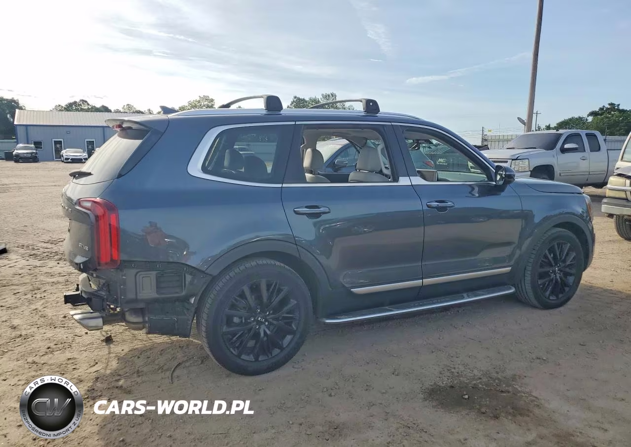 2020 Kia Telluride Sx VIN:5XYP54HC4LG072520 - 3