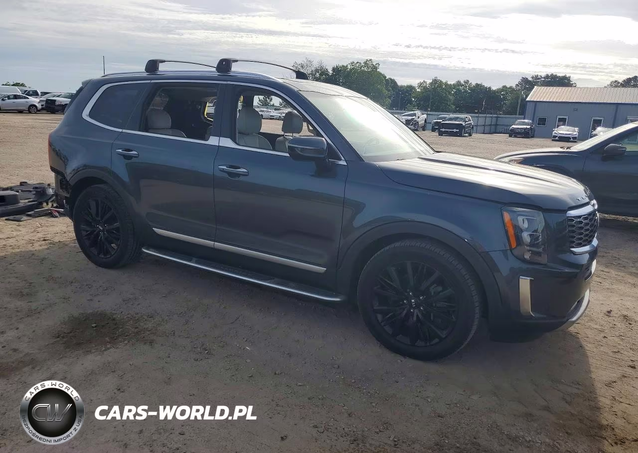 2020 Kia Telluride Sx VIN:5XYP54HC4LG072520 - 4