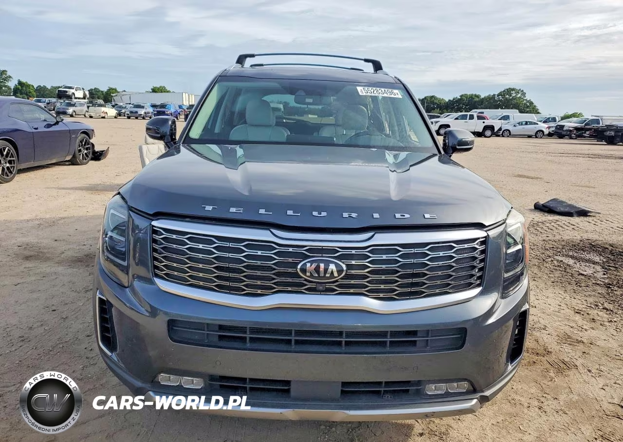 2020 Kia Telluride Sx VIN:5XYP54HC4LG072520 - 5