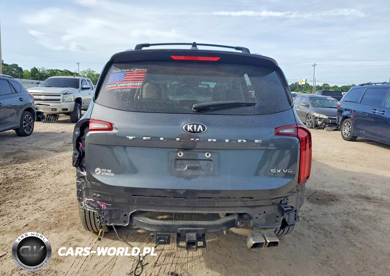 2020 Kia Telluride Sx VIN:5XYP54HC4LG072520 - 6