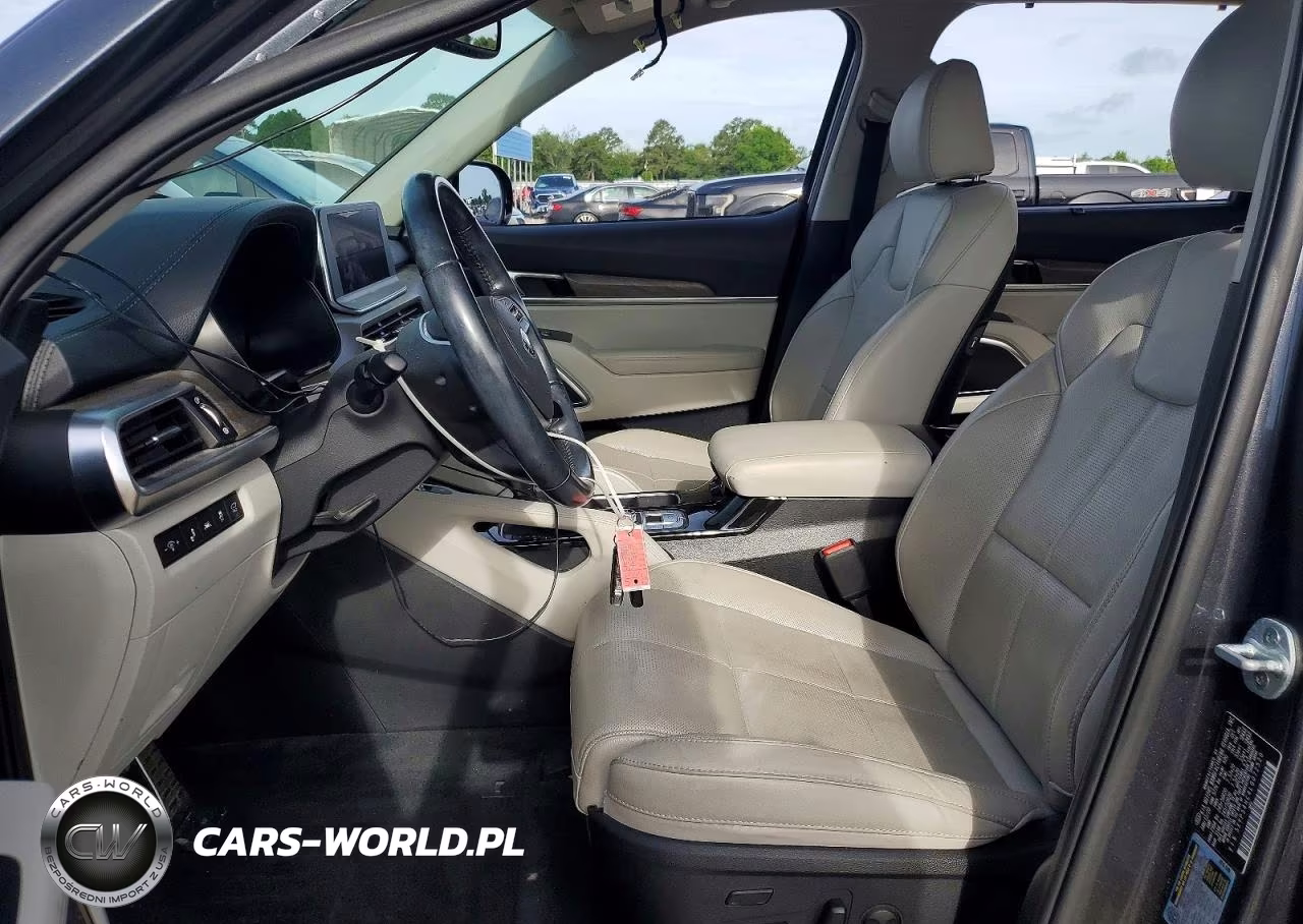 2020 Kia Telluride Sx VIN:5XYP54HC4LG072520 - 7