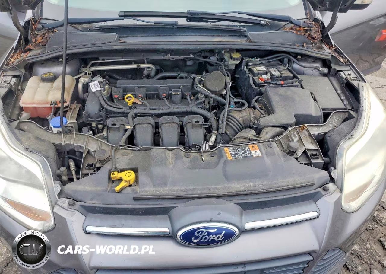 2014 Ford Focus Se VIN:1FADP3F21EL446855 - 11