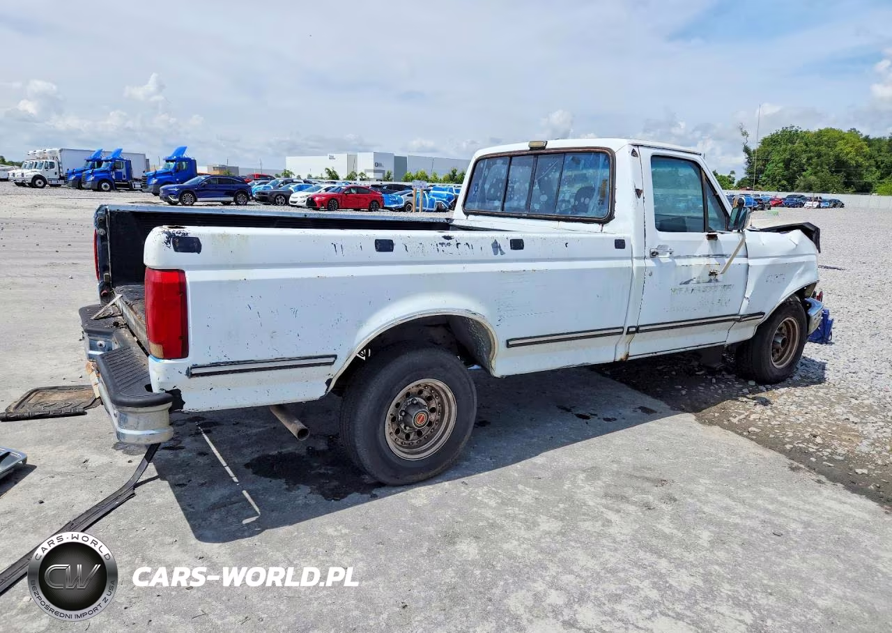 1992 Ford F150 VIN:1FTEF15N6NLA57405 - 3