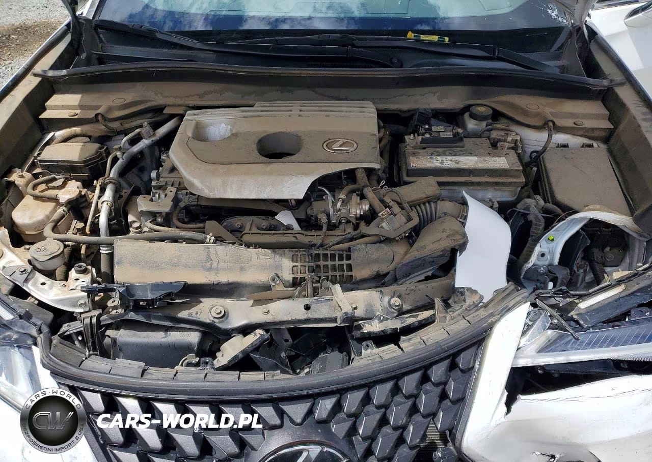 2022 Lexus Ux 200 Base VIN:JTHX3JBHXN2053569 - 11