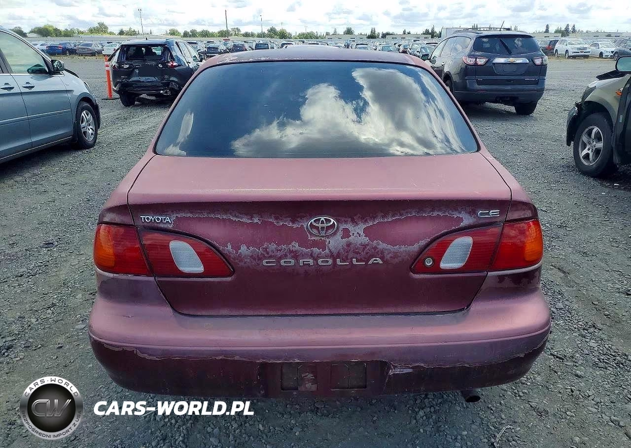 1998 Toyt Corolla VIN:1NXBR12E5WZ021632 - 6