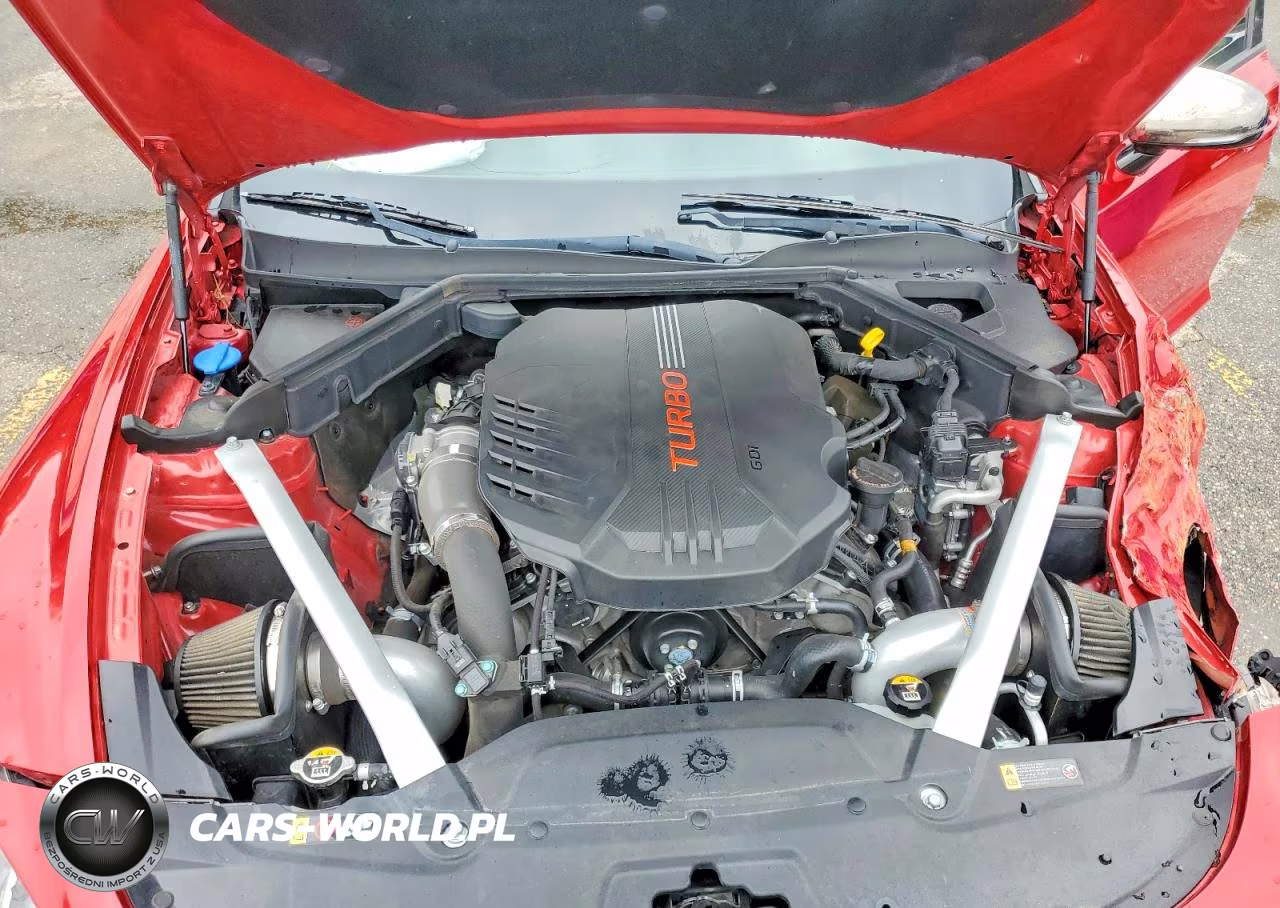 2019 Kia Stinger Gt VIN:KNAE35LC4K6064880 - 11