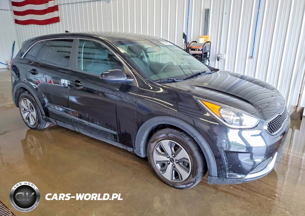 2017 Kia Niro Fe VIN:KNDCB3LC3H5067687 - 4