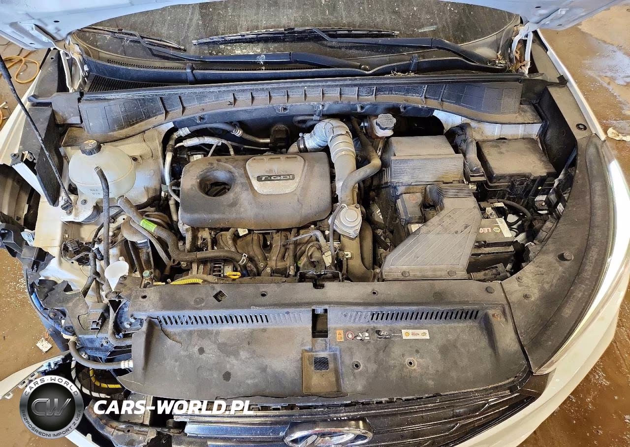 2018 Hyundai Tucson Value VIN:KM8J3CA23JU748115 - 12