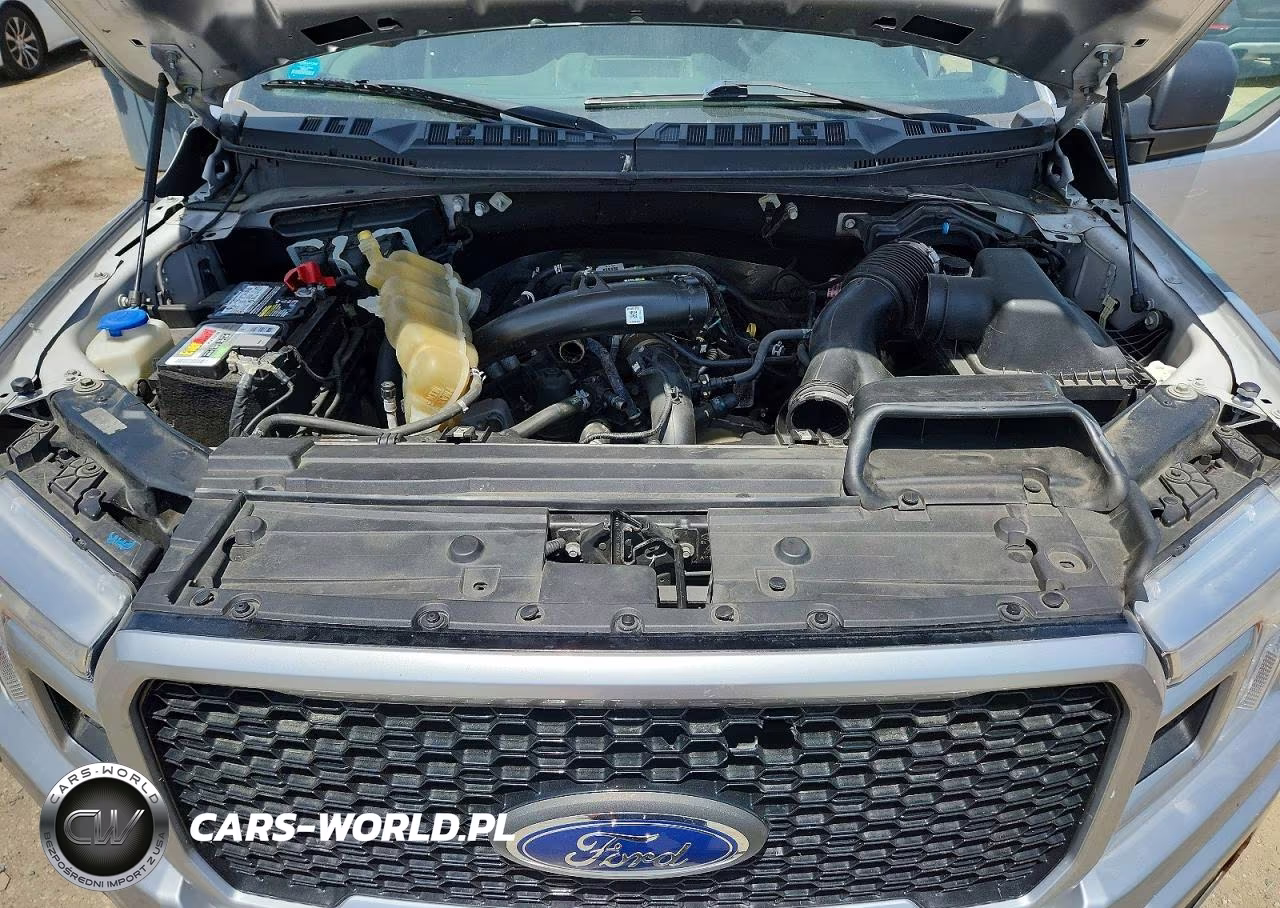 2020 Ford F150 Supercrew VIN:1FTEW1EP5LFA53410 - 11