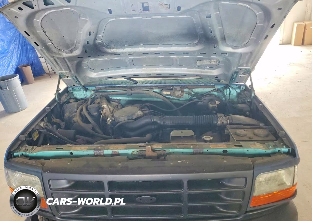 1995 Ford F150 VIN:1FTEF14N8SLA81895 - 11