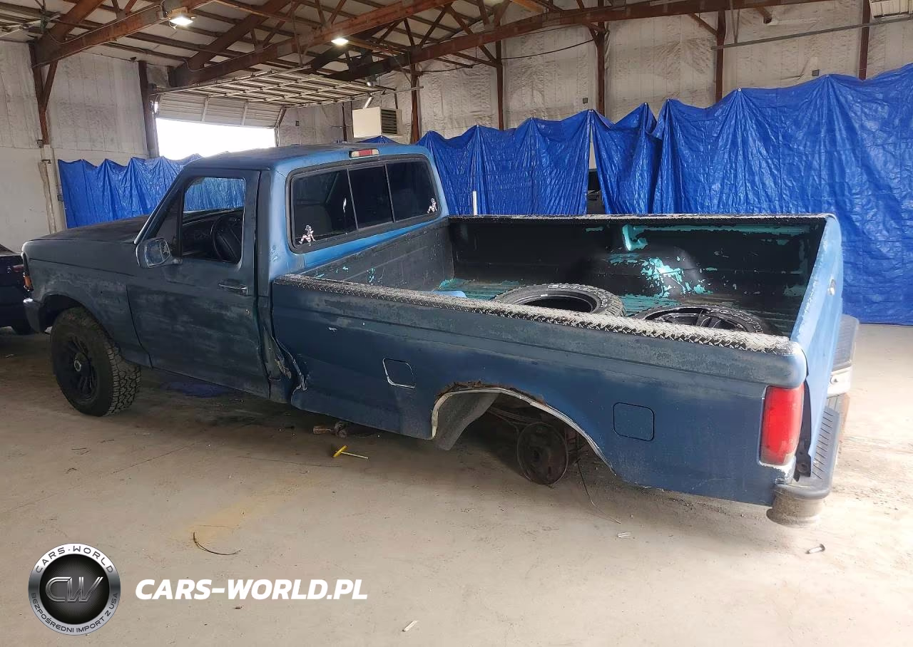 1995 Ford F150 VIN:1FTEF14N8SLA81895 - 2