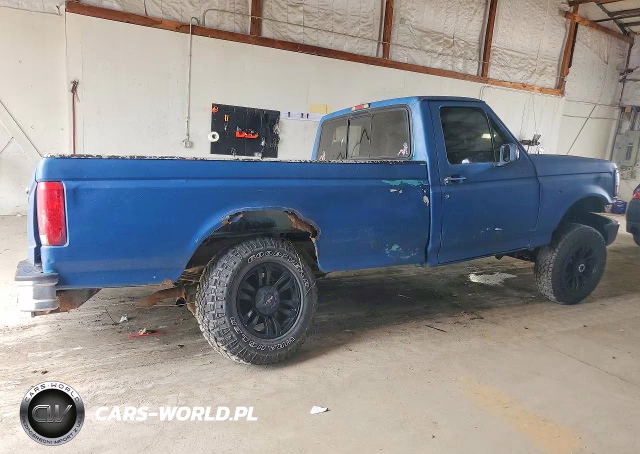 1995 Ford F150 VIN:1FTEF14N8SLA81895 - 3