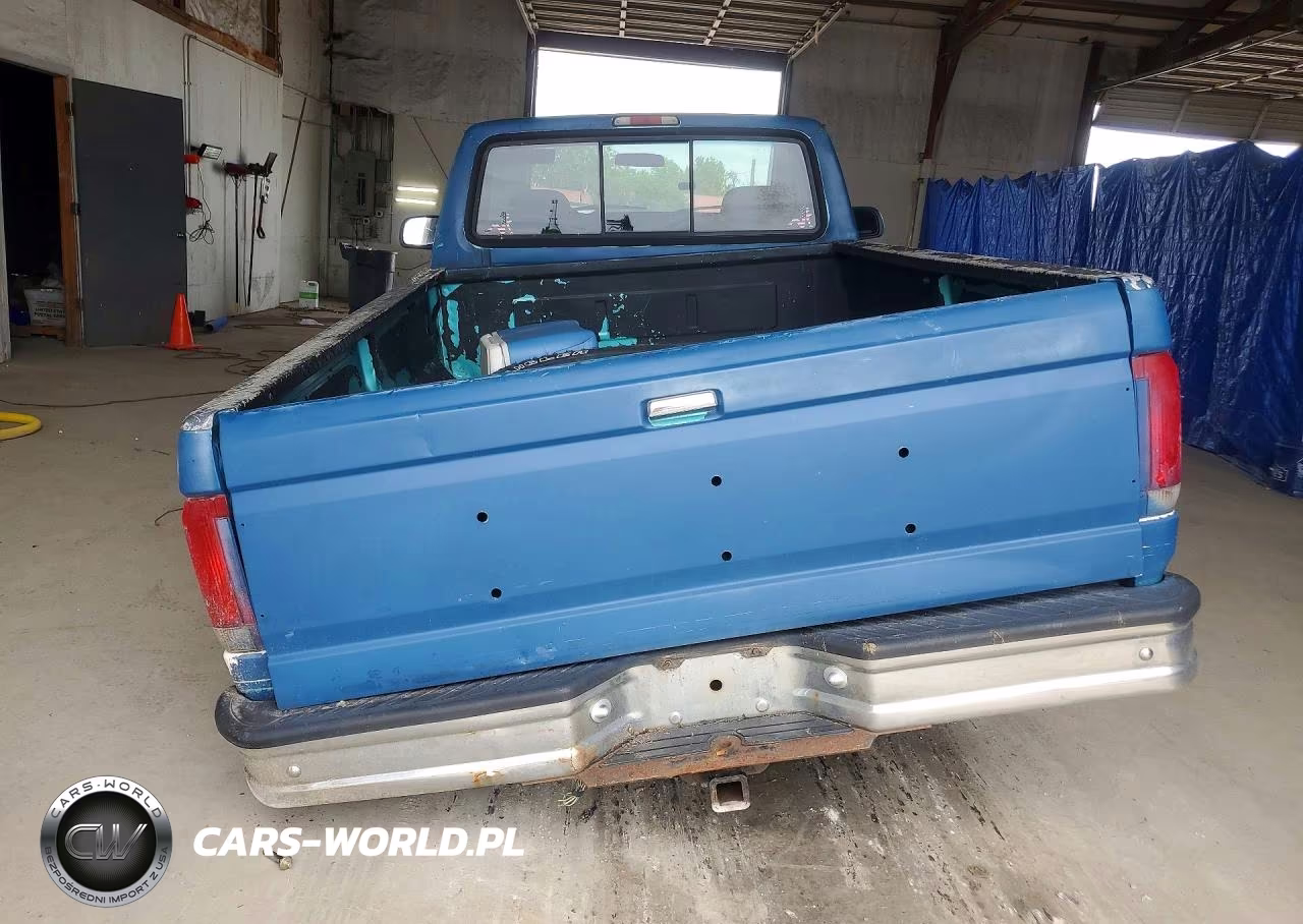 1995 Ford F150 VIN:1FTEF14N8SLA81895 - 6