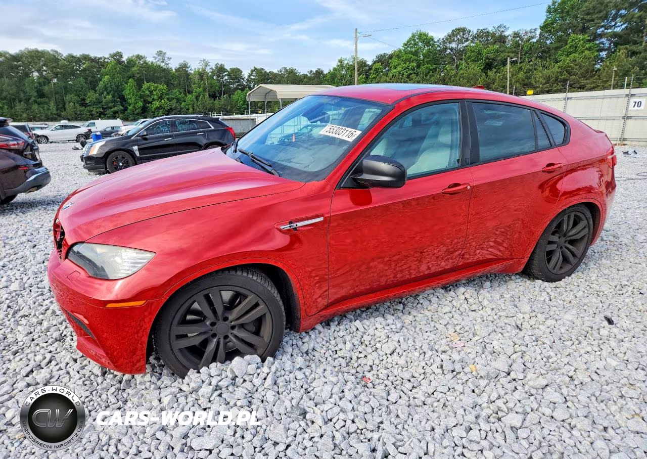 2011 BMW X6 M