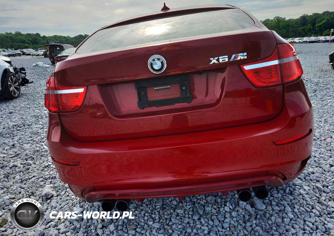 2011 BMW X6 M VIN:5YMGZ0C56BLK14303 - 6