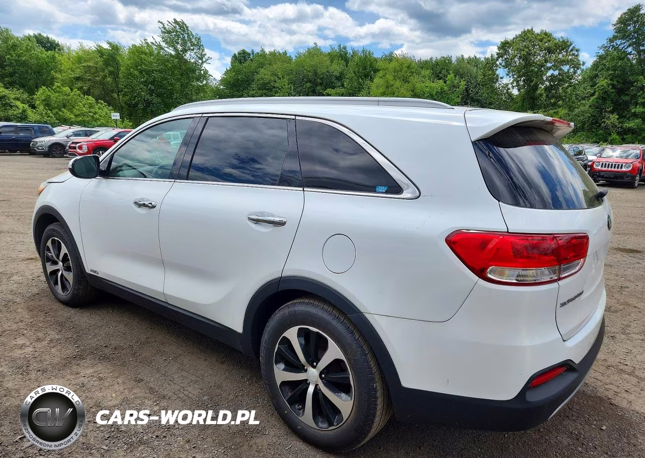 2017 Kia Sorento VIN:5XYPHDA11HG277705 - 2