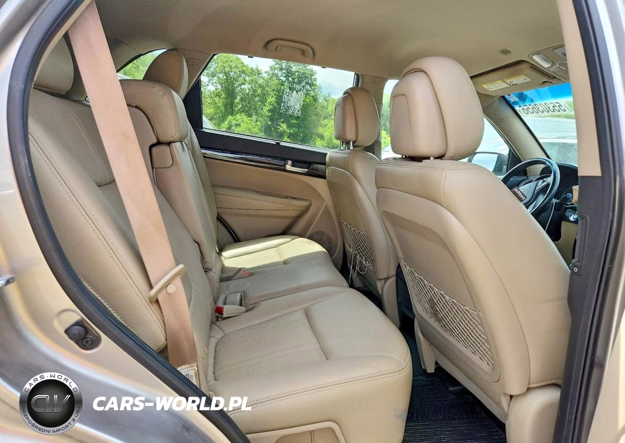 2014 Kia Sorento Lx VIN:5XYKTDA65EG504071 - 11