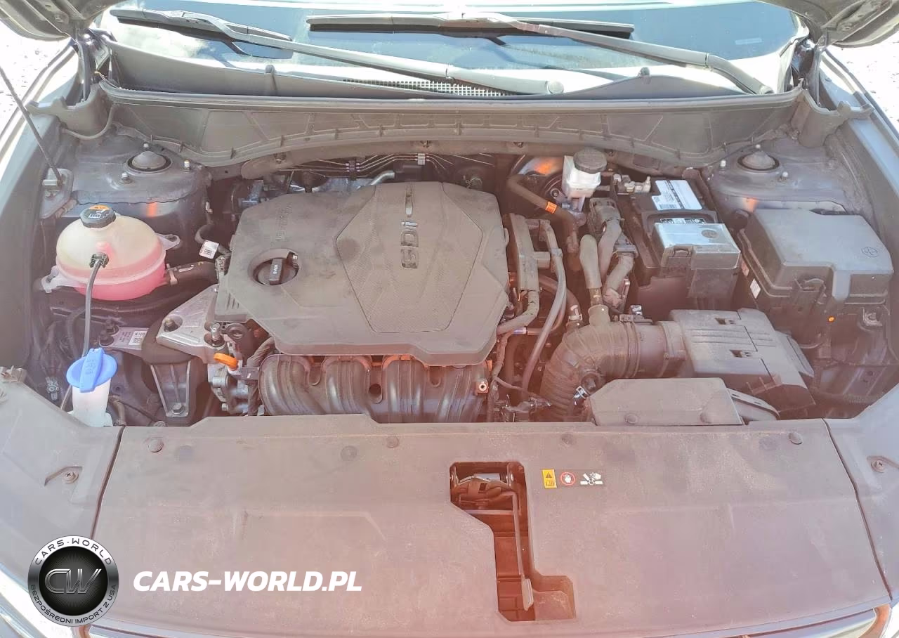 2024 Hyundai Tucson Sel VIN:5NMJF3DE8RH306211 - 12