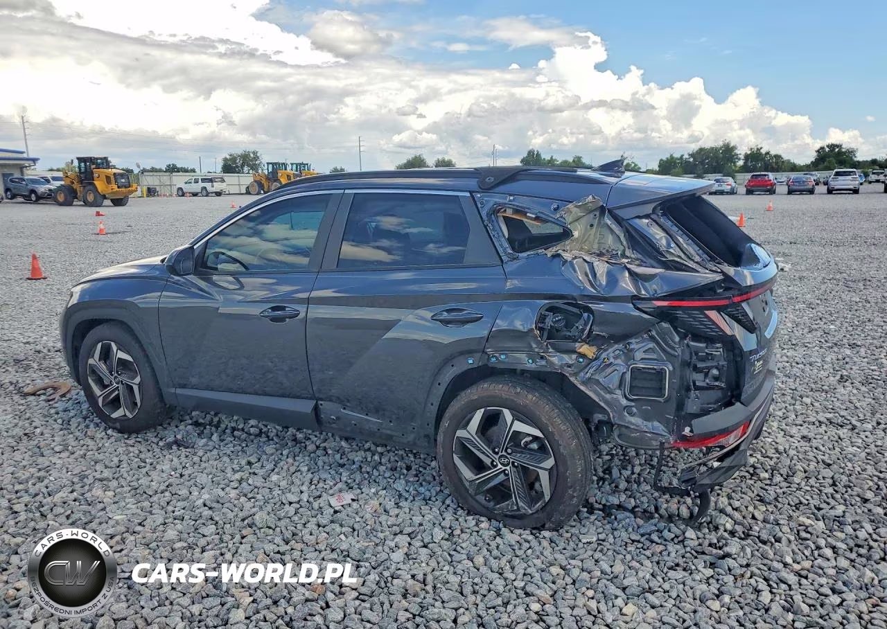 2024 Hyundai Tucson Sel VIN:5NMJF3DE8RH306211 - 2