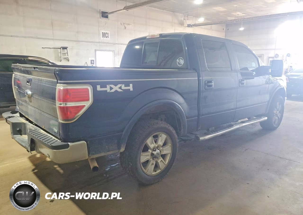2010 Ford F150 Supercrew VIN:1FTFW1EV9AKE41666 - 3
