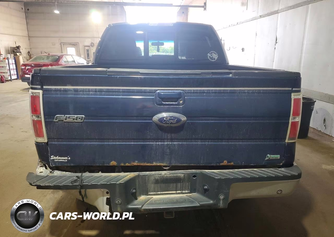 2010 Ford F150 Supercrew VIN:1FTFW1EV9AKE41666 - 6