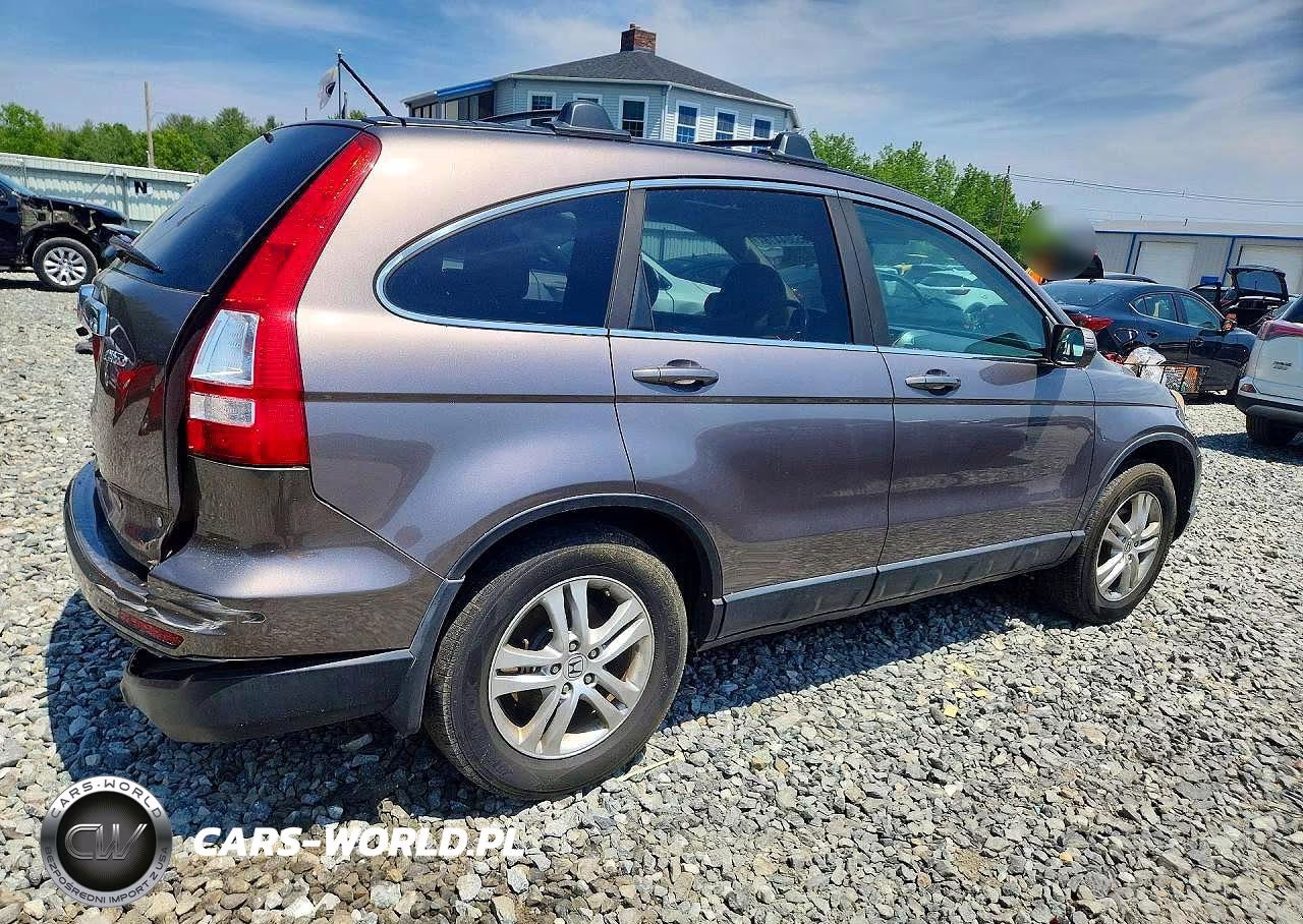 2010 Honda Cr-V Exl VIN:5J6RE4H78AL099484 - 3