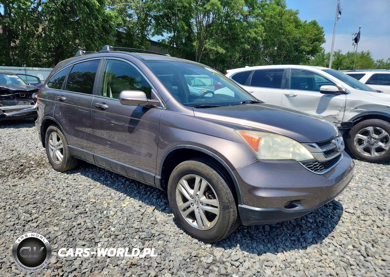 2010 Honda Cr-V Exl VIN:5J6RE4H78AL099484 - 4