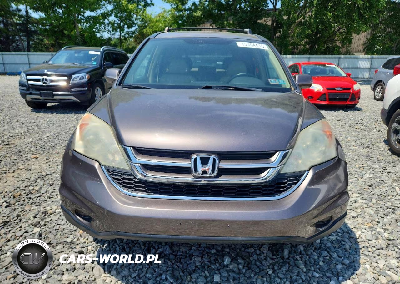 2010 Honda Cr-V Exl VIN:5J6RE4H78AL099484 - 5