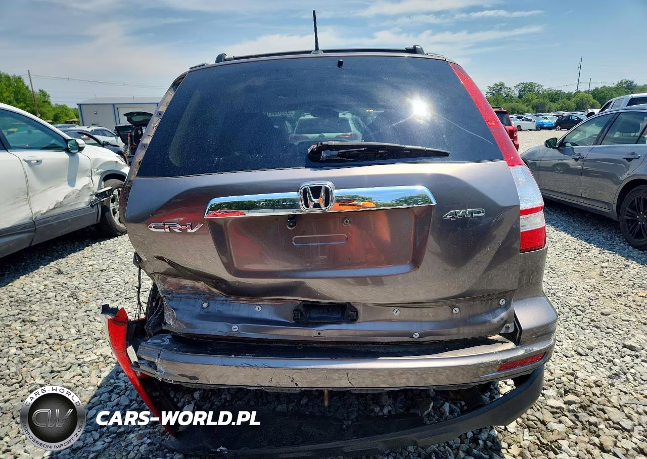 2010 Honda Cr-V Exl VIN:5J6RE4H78AL099484 - 6