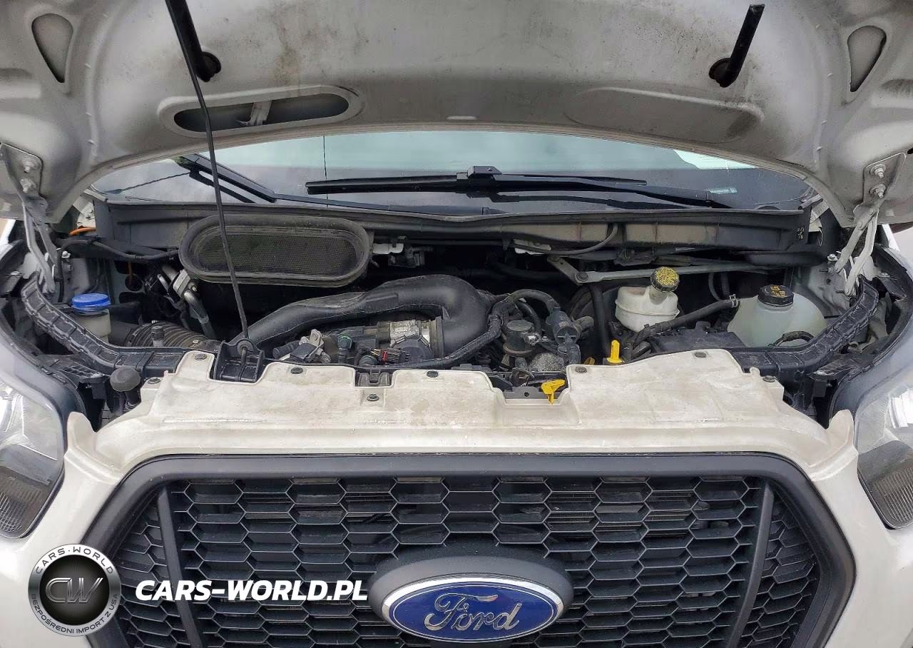 2022 Ford Transit Delivery Truck VIN:1FDBW5Z8XNKA31888 - 11