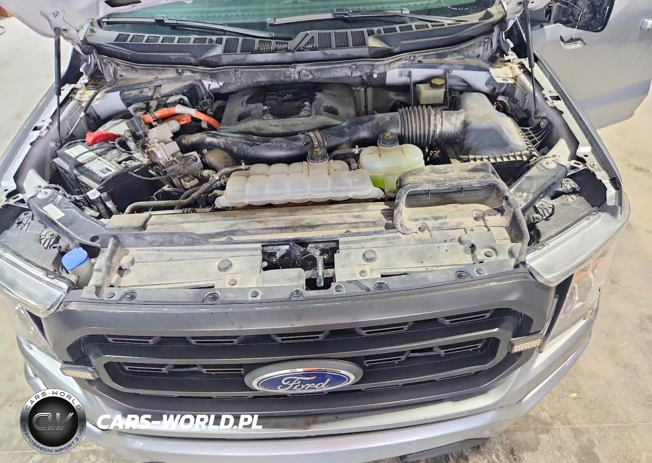 2021 Ford F150 Supercrew VIN:1FTFW1ED5MFB27291 - 11