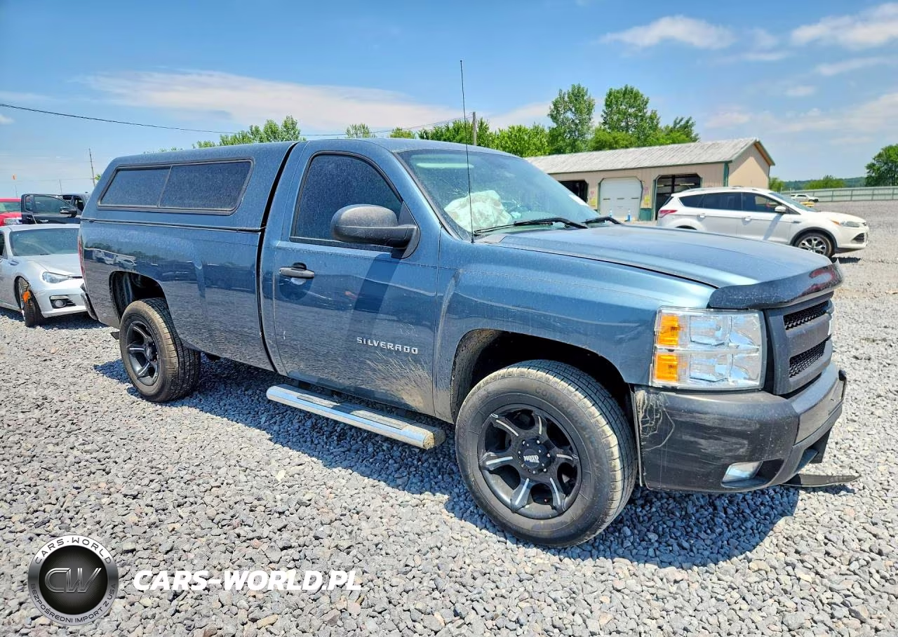 2013 Chevrolet Silverado C1500 VIN:1GCNCPEX4DZ386404 - 4