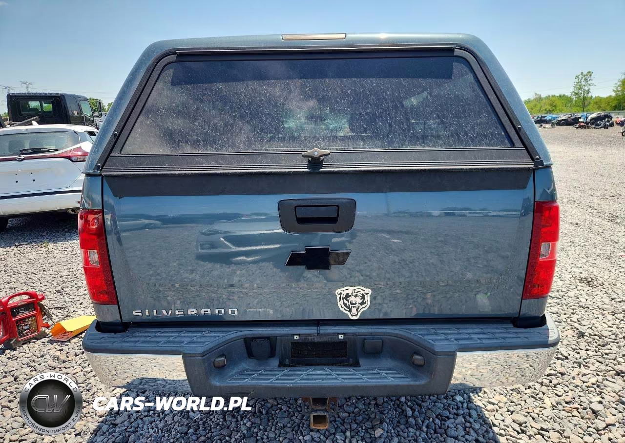 2013 Chevrolet Silverado C1500 VIN:1GCNCPEX4DZ386404 - 6