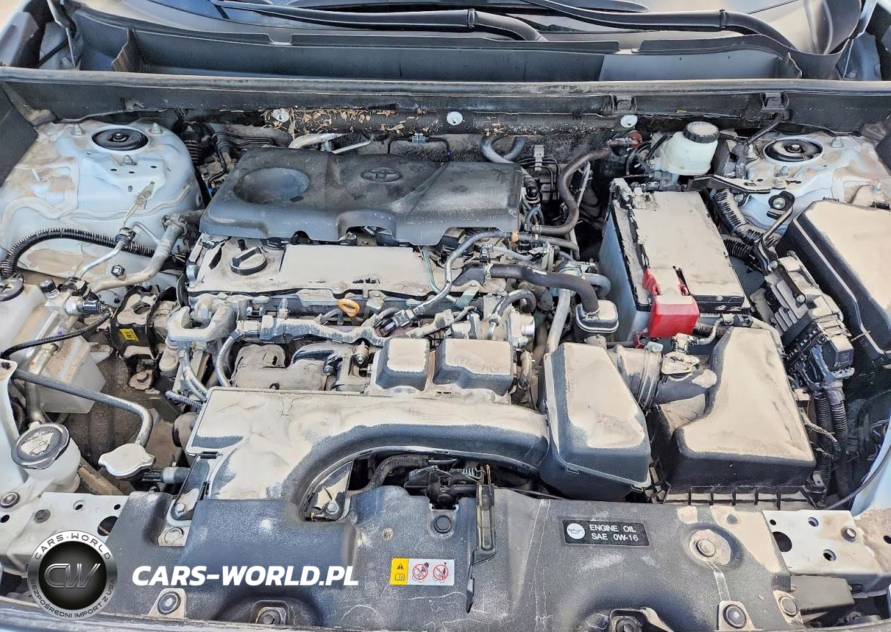 2024 Toyota Rav4 Xle Premium VIN:2T3C1RFV8RW342810 - 12