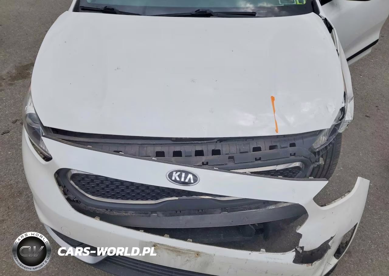 2019 Kia Niro Lx VIN:KNDCB3LC0K5218427 - 12